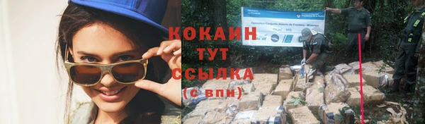 ешки Алзамай