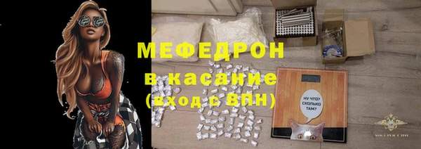 индика Осинники