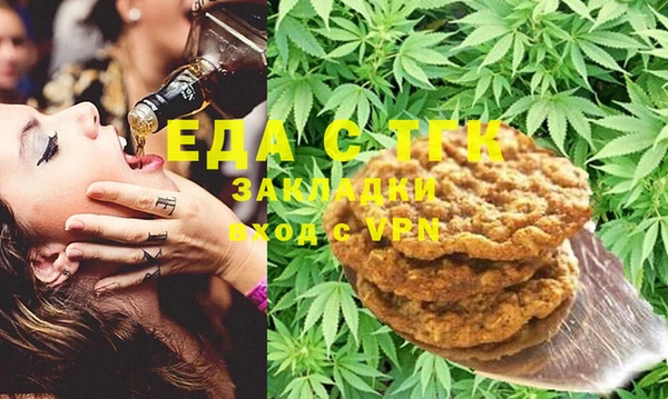 индика Осинники