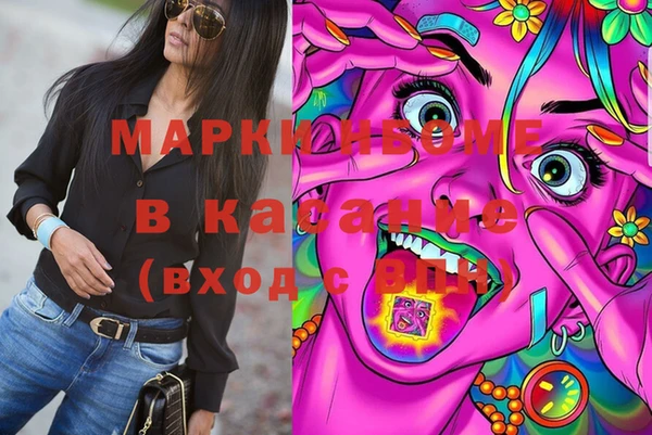 индика Осинники